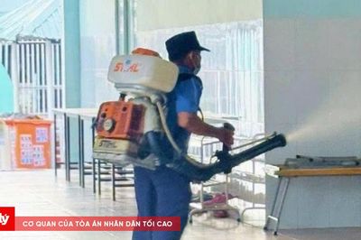 TP.HCM chủ động kiểm soát dịch bệnh mùa mưa