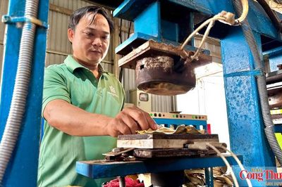 Quảng Ngãi: Biến lá bàng biển thành 'vàng xanh' xuất khẩu