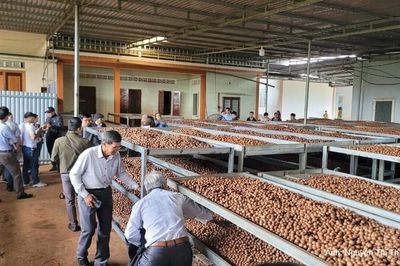 Đắk Lắk: Thúc đẩy khuyến công, nâng tầm chế biến sâu nông sản