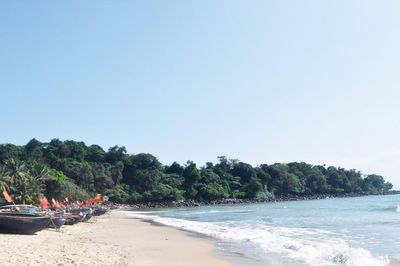 Dấu chân người con gái hoàng triều