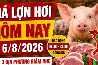 Giá lợn hơi hôm nay 6/8: Ba địa phương giảm nhẹ