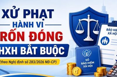 Xử phạt hành vi trốn đóng BHXH bắt buộc