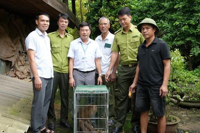 Xã Tằng Loỏng bàn giao cá thể khỉ đuôi lợn cho Trung tâm Du lịch và Bảo tồn sinh vật Hoàng Liên