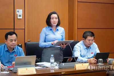 Đoàn đại biểu Quốc hội tỉnh đóng góp nhiều nội dung quan trọng về phát triển đô thị và hạ tầng chiến lược quốc gia