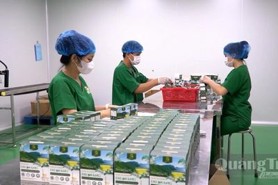 Toàn tỉnh có 947 doanh nghiệp được thành lập mới
