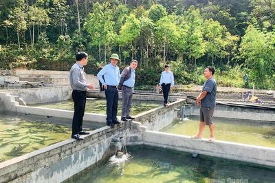 Cụ thể hóa Nghị quyết của Đảng