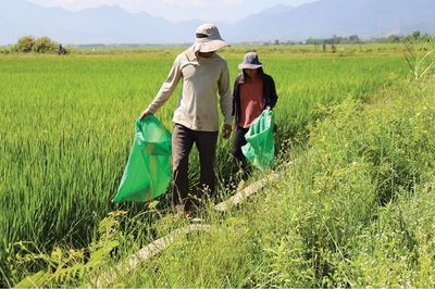 Giữ đồng ruộng sạch hơn từ những hành động nhỏ