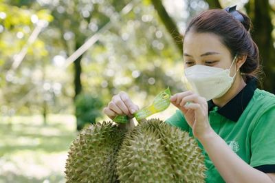 Mã số vùng trồng và sở hữu trí tuệ: 'Bức tường thép' bảo vệ sầu riêng Đắk Lắk