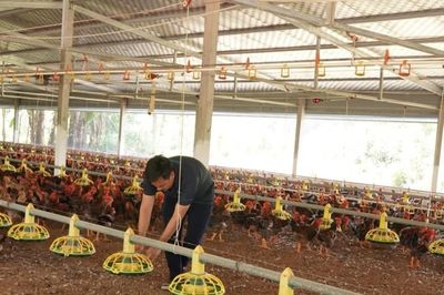 Ưu đãi thuế mở lối, tuân thủ pháp lý giữ đường cho HTX vươn xa