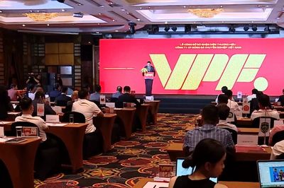 Công bố các giải bóng đá chuyên nghiệp Việt Nam mùa giải 2026/27