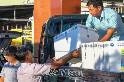 Hỗ trợ sinh kế, giúp nông dân phát triển
