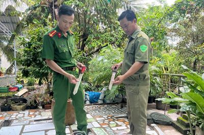 Giao nộp vũ khí, giữ lại bình yên