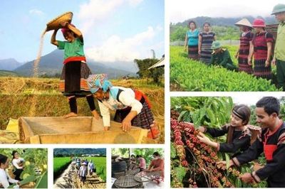 Lâm Đồng yêu cầu đẩy nhanh giải ngân các Chương trình mục tiêu quốc gia