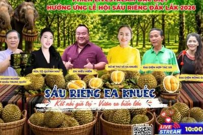 Ea Knuếc vào mùa sầu riêng, đẩy mạnh quảng bá qua phiên livestream kết nối và tiêu thụ
