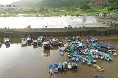 Quảng Ninh: Kiểm soát sản lượng thủy sản qua hệ thống eCDT