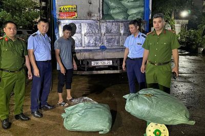 Phát hiện hơn 8,7 tấn chân gà không rõ nguồn gốc trên xe tải