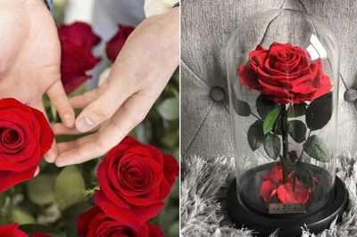 Vì sao hoa hồng từng được đặt phía trên nơi có những cuộc trò chuyện bí mật?