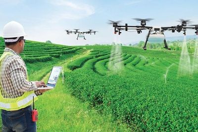 Cạnh tranh trong kỷ nguyên AI: Biến dữ liệu thành sự thấu hiểu