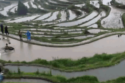 Lướt ván trên ruộng bậc thang cao gần 800 m ở Trung Quốc