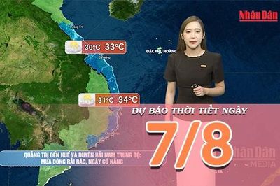 [Video] Dự báo thời tiết ngày 7/8/2026: Bắc Bộ dần giảm mưa, Cao nguyên Trung Bộ và Nam Bộ tiếp tục mưa dông về chiều tối