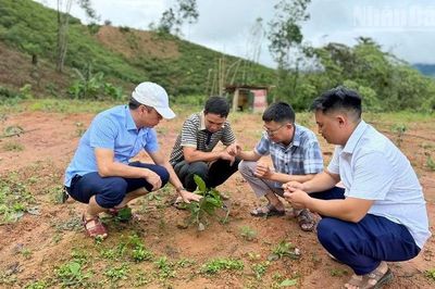 Điện Biên tiếp tục điều động, tăng cường công chức, viên chức từ tỉnh về xã