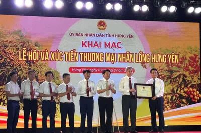Hưng Yên tổ chức lễ hội và xúc tiến thương mại nhãn lồng Hưng Yên 2026