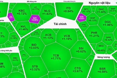 Nhóm cổ phiếu doanh nghiệp có vốn Nhà nước bứt phá
