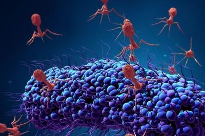 AI tạo ra virus diệt vi khuẩn làm dấy lên mối lo an toàn sinh học
