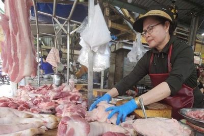 Giá heo hơi hôm nay 7/8: Lao dốc trên 3 miền, trượt xuống mốc 59.000 đồng/kg