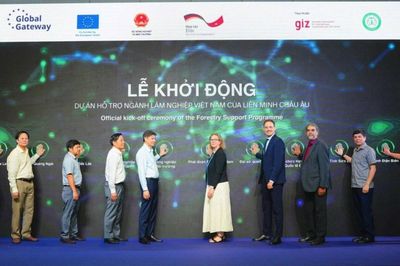 EU và Đức đồng hành cùng Việt Nam phục hồi, quản lý bền vững rừng tự nhiên