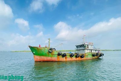 Bắt giữ phương tiện vận chuyển khoảng 50.000 lít dầu DO không rõ nguồn gốc