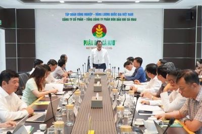 Cụm Khí - Điện - Đạm Cà Mau giữ vai trò chủ lực trong tăng trưởng của địa phương
