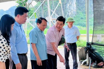 Đoàn giám sát số 1 của Thường trực HĐND tỉnh làm việc tại xã Anh Sơn