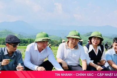 Xã Đức Đồng tuyển dụng viên chức khuyến nông
