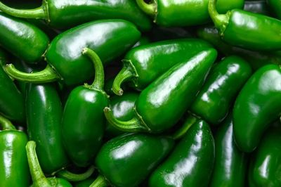 Ớt nhập khẩu từ Mexico khiến hàng trăm người tiêu dùng Mỹ nhiễm khuẩn Salmonella