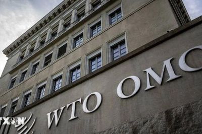 Cải cách WTO bế tắc do chưa thống nhất phạm vi đàm phán