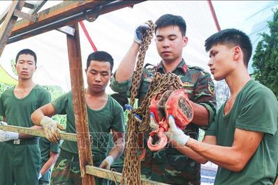 Tiếp nối hành trình tri ân các anh hùng liệt sĩ