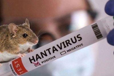 Pháp ghi nhận ca nhiễm mới virus Hanta chủng Andes