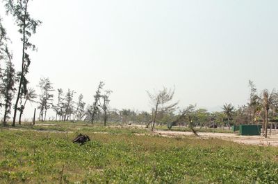 Nhiều dự án 'treo' tại khu du lịch biển: Nơi bỏ hoang, nơi đầu tư thì bị vướng