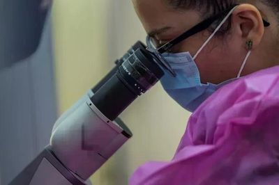 AI lần đầu tạo ra virus sống, giới khoa học vừa mừng vừa lo