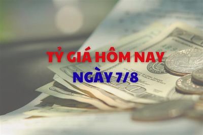 Tỷ giá hôm nay 7/8: Tỷ giá trung tâm tăng 125 đồng chỉ trong một tuần