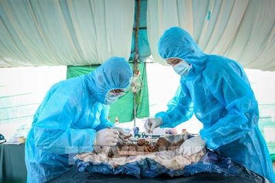 Chùm ảnh: Những đôi tay gìn giữ hy vọng đoàn tụ