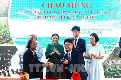 Du lịch miệt vườn Vĩnh Long thu hút đối tác Hàn Quốc