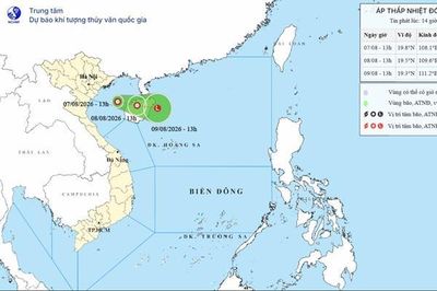 Từ Quảng Ninh đến Quảng Trị chủ động ứng phó với áp thấp nhiệt đới