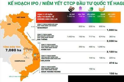 Công ty con của HAGL chốt ngày IPO gần 19 triệu cp với giá gấp hơn 4 lần cổ phiếu HAG