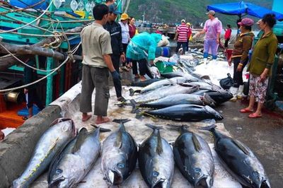 Tháo gỡ vướng mắc cho doanh nghiệp thủy sản xuất khẩu sang Hoa Kỳ