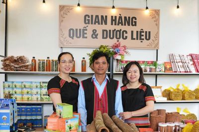 Để quế Trà My vươn ra thế giới