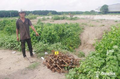 Tập trung đẩy lùi tội phạm trộm cắp tài sản