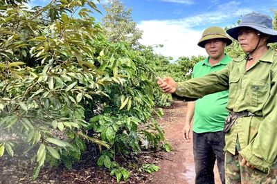 Dữ liệu sản xuất: Chìa khóa nâng cao sức cạnh tranh cho nông sản