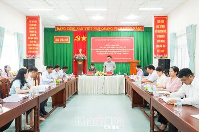 Giám sát việc triển khai các nghị quyết của Bộ Chính trị tại xã Cà Ná